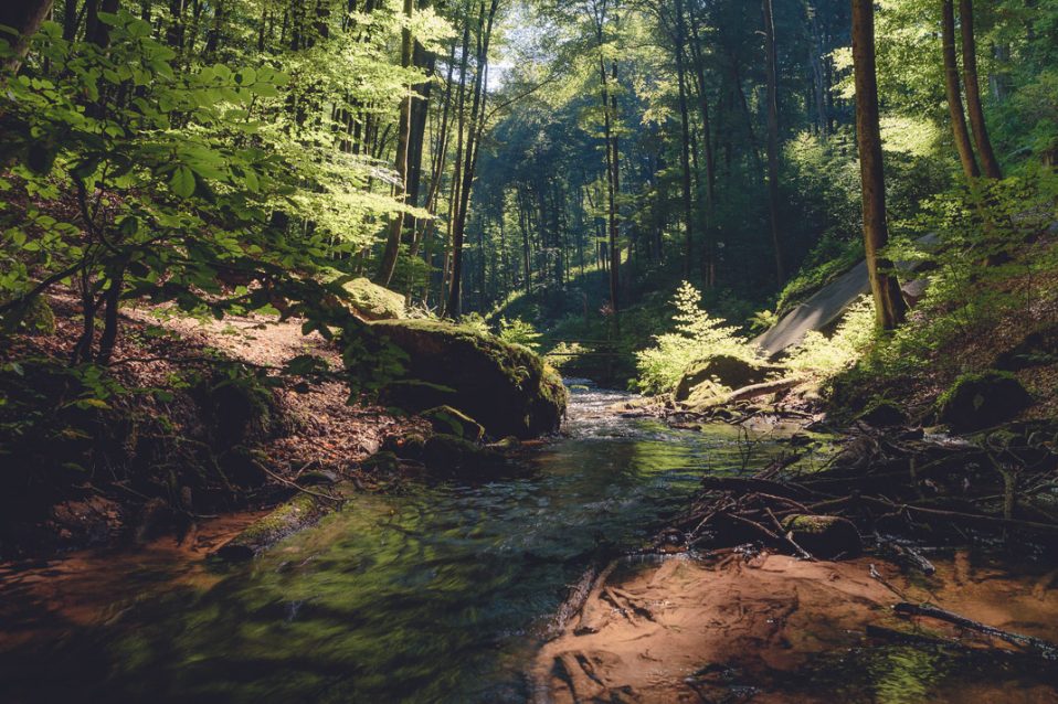 Welches Objektiv wofür - Weitwinkel für Landschaftsfotos