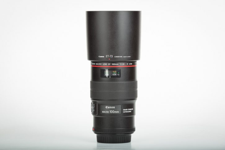 Welches Teleobjektiv für Canon EOS DSLR?