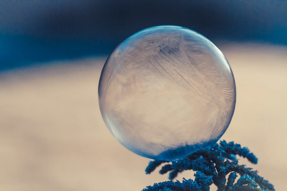 Foto einer gefrorenen Seifenblase auf einem Ast